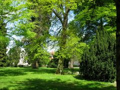 Le jardin botanique 41