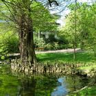 Le jardin botanique 43