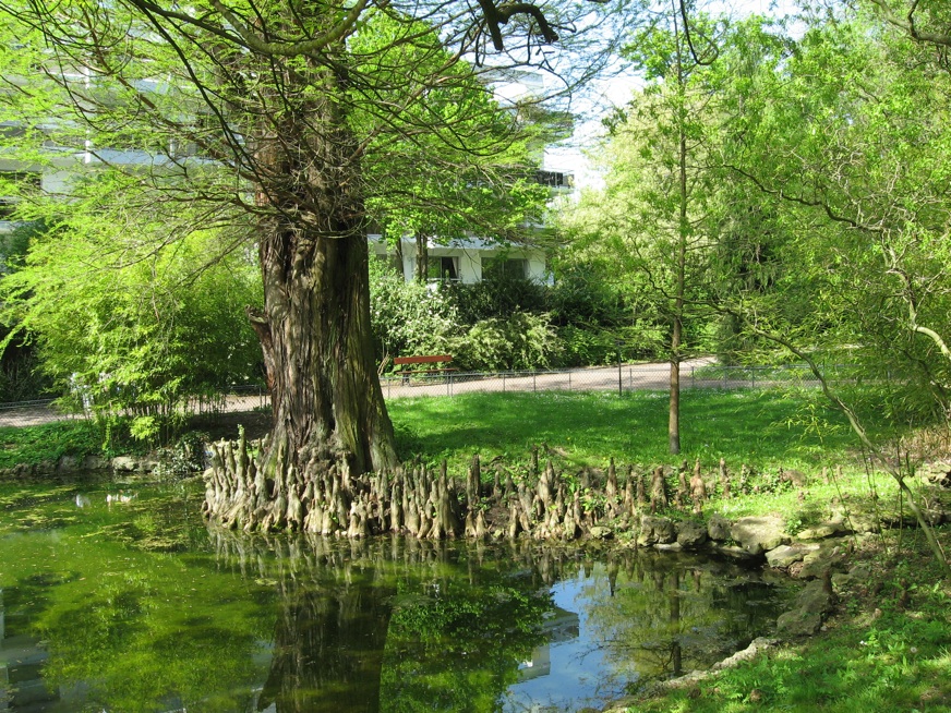 Le jardin botanique 43