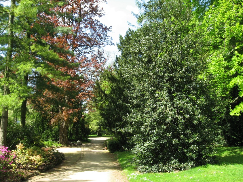 Le jardin botanique 46