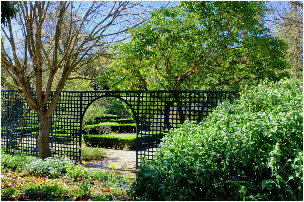 Le jardin botanique