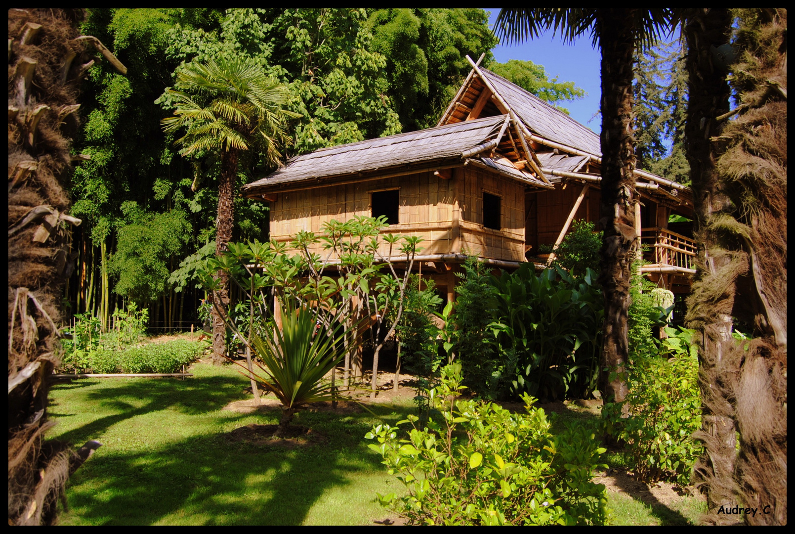 Le Jardin Chinoi