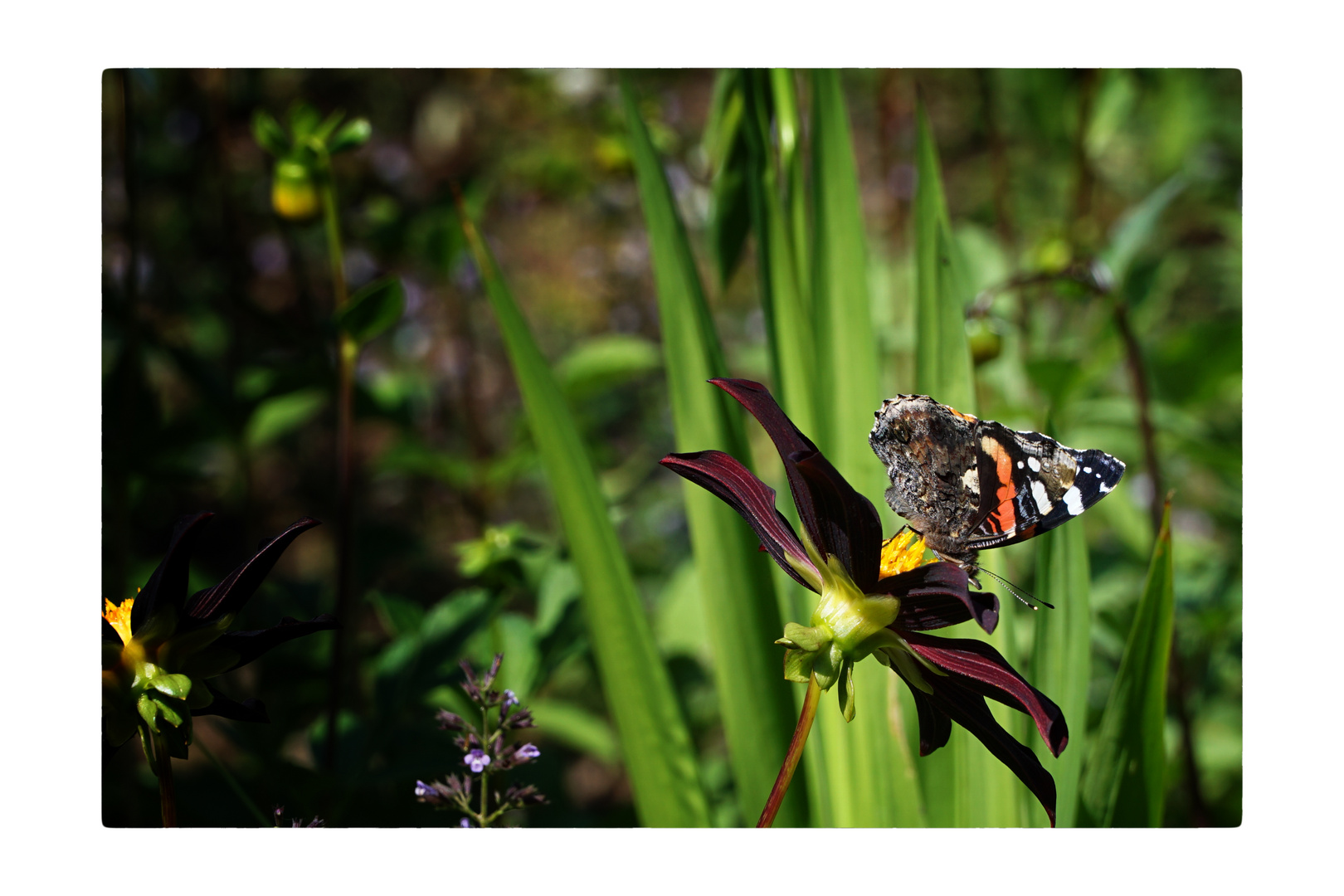 Le Jardin de Berchigrange_03