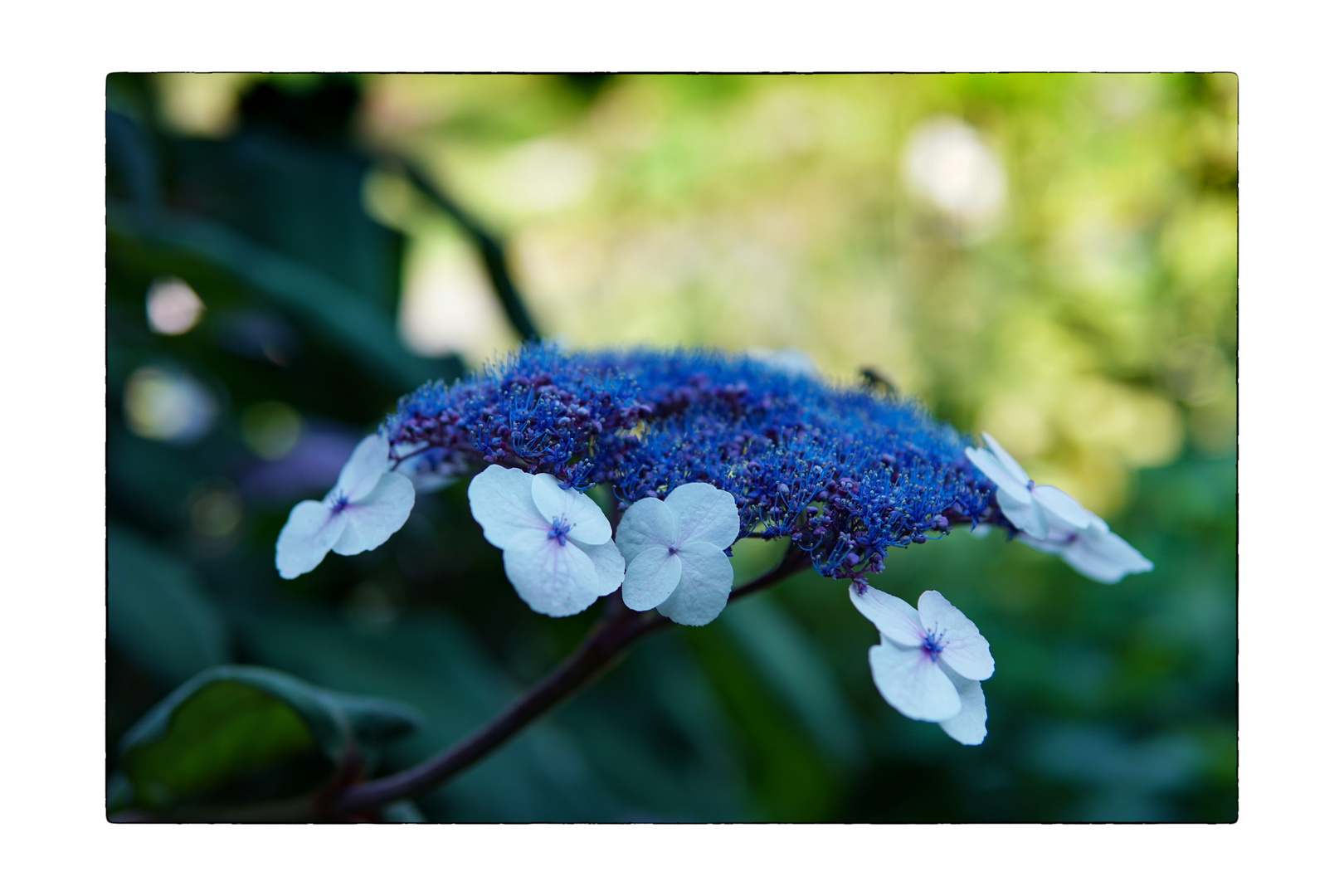 Le Jardin de Berchigrange_06