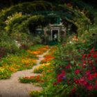 Le jardin de Claude Monet....