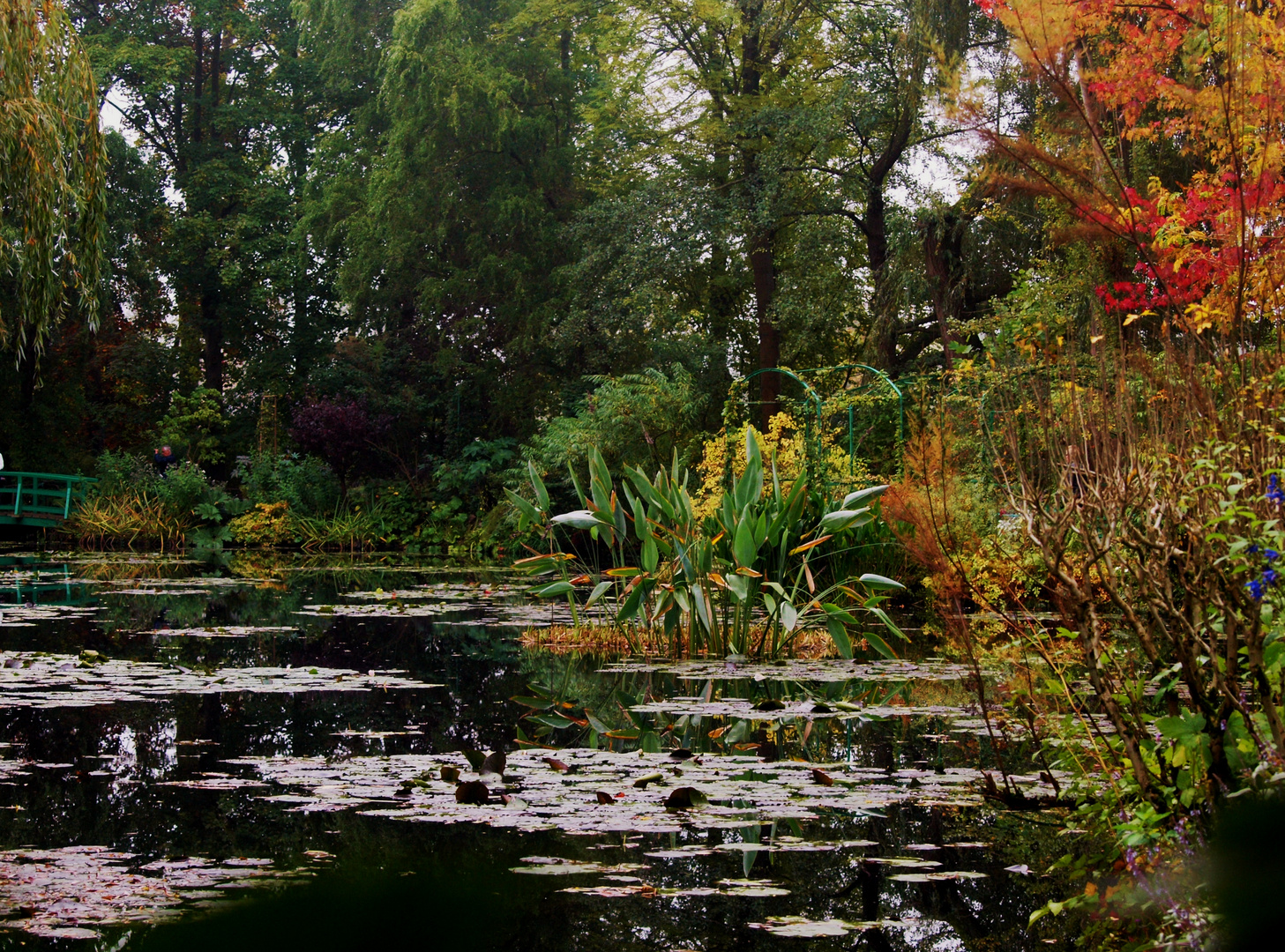 Le jardin de Claude MONET (Giverny 27)