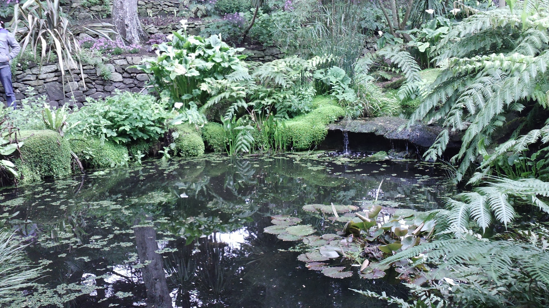 Le Jardin de l'île de Batz