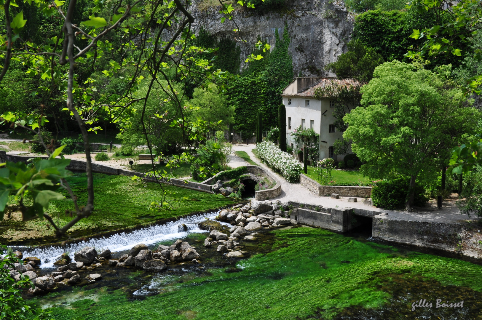 Le jardin de Pétrarque à Fontaine-de-Vaucluse