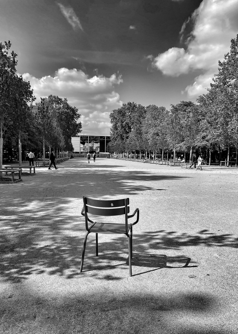  Le jardin de Tuileries 