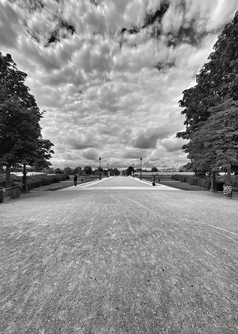 Le jardin de Tuileries 