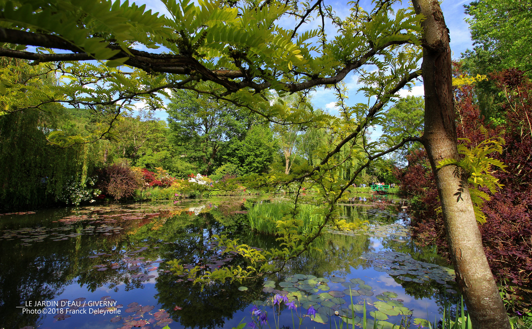 Le Jardin d'eau • (Fondation Claude Monet - Giverny) / Sur le tournage de Mon GR® préféré • Saison 2