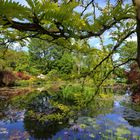 Le Jardin d'eau • (Fondation Claude Monet - Giverny) / Sur le tournage de Mon GR® préféré • Saison 2