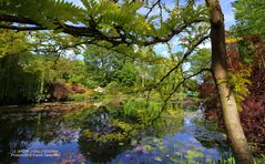 Le Jardin d'eau • (Fondation Claude Monet - Giverny) / Sur le tournage de Mon GR® préféré • Saison 2