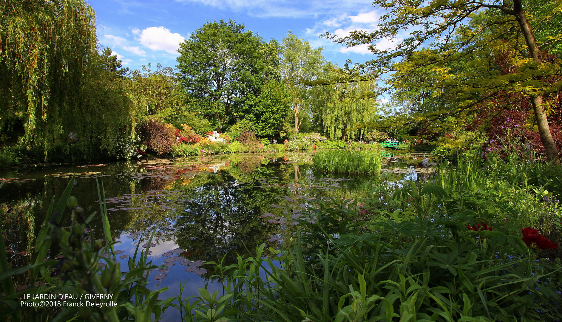 Le Jardin d'eau • (Fondation Claude Monet - Giverny) / Sur le tournage de Mon GR® préféré • Saison 2