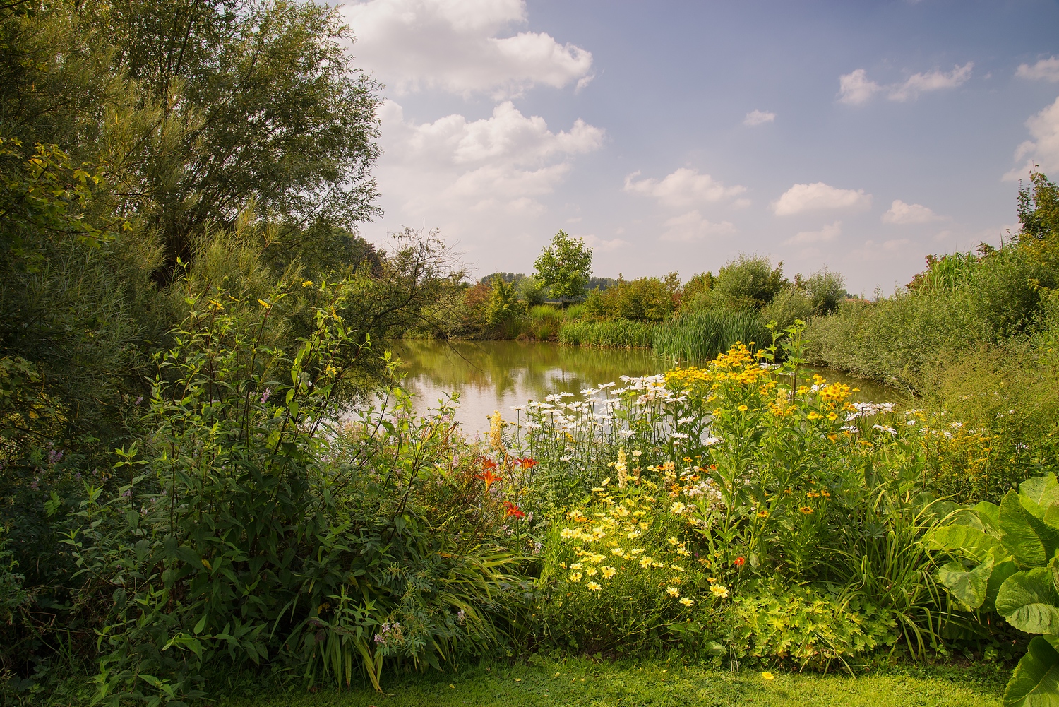 Le jardin d'Eden