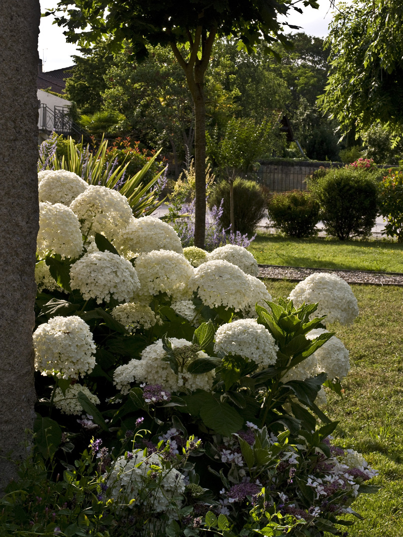 Le jardin derrière l’Eglise Saint-Jean-Baptiste de Valence-sur-Baïse