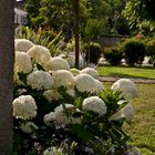 Le jardin derrière l’Eglise Saint-Jean-Baptiste de Valence-sur-Baïse