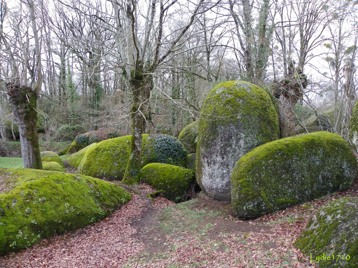 Le jardin des Chirons ...