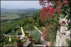 Le Jardin des Herbes # 3