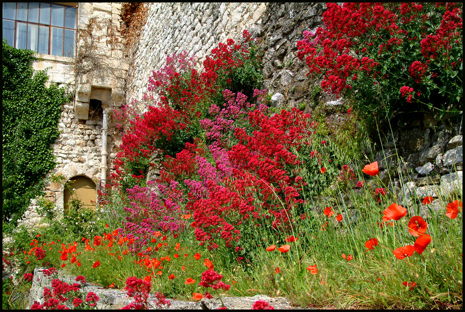 Le Jardin des Herbes # 4