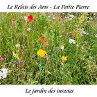 Le jardin des insectes