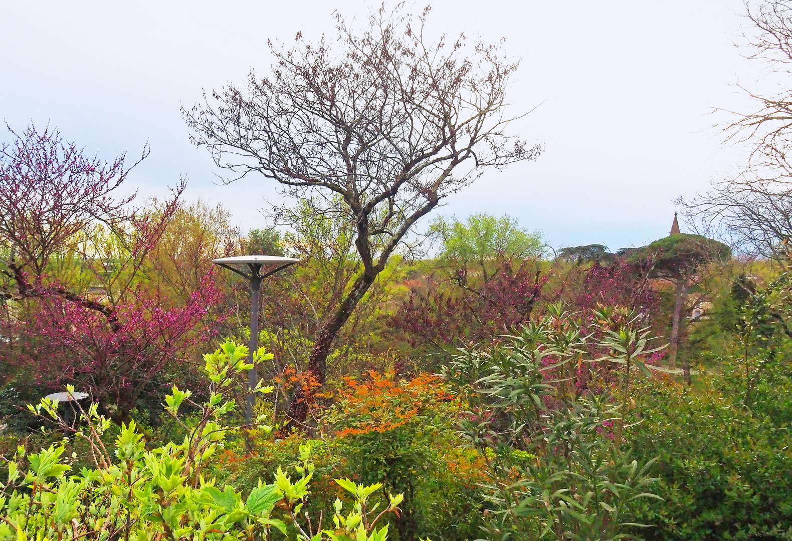 Le Jardin des Plantes