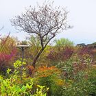 Le Jardin des Plantes