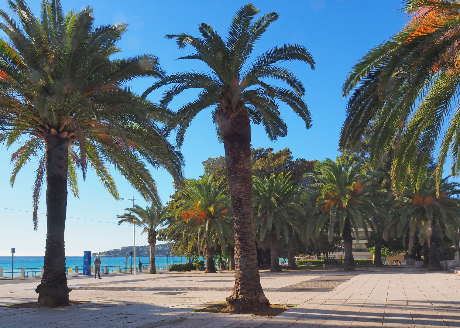 Le Jardin Elisée Reclus  - Menton