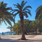 Le Jardin Elisée Reclus  - Menton