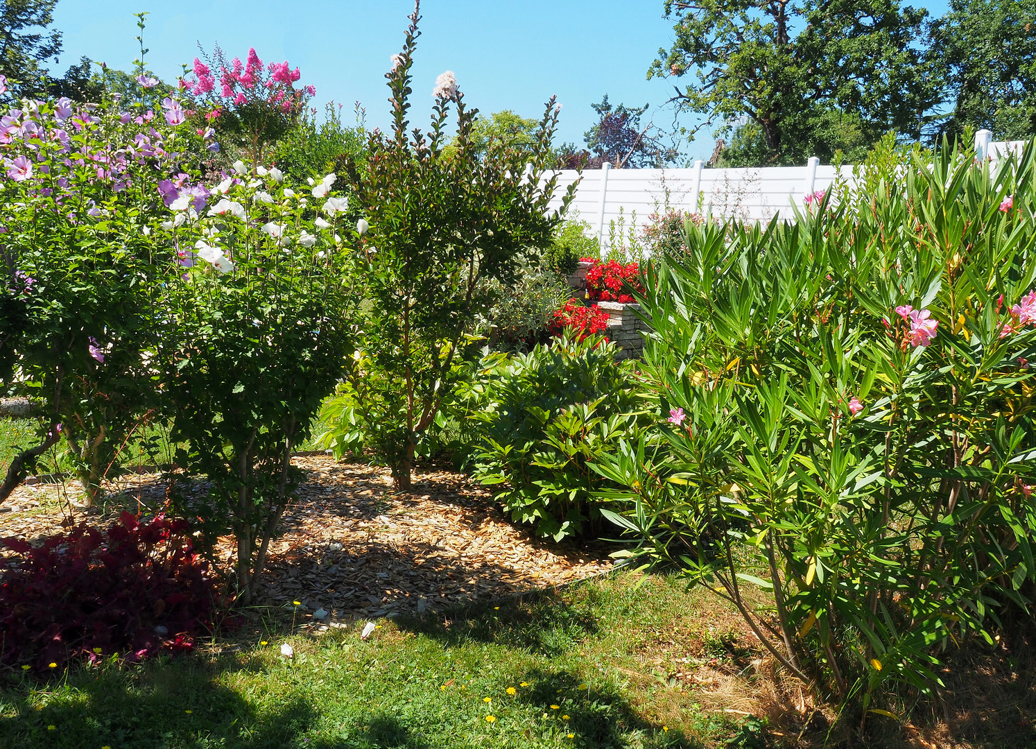 Le jardin en été