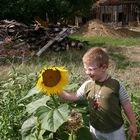 le jardin et l enfant