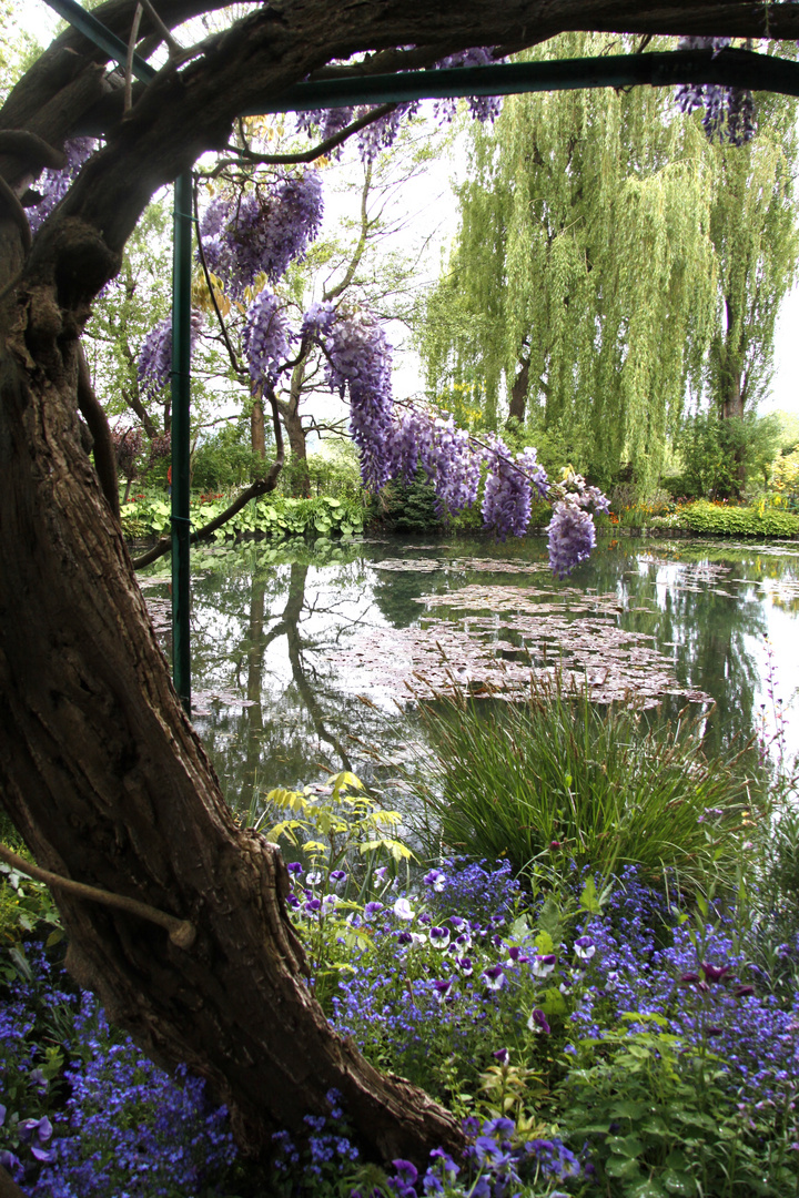 Le jardin exotique de Monet