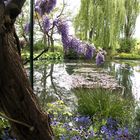 Le jardin exotique de Monet