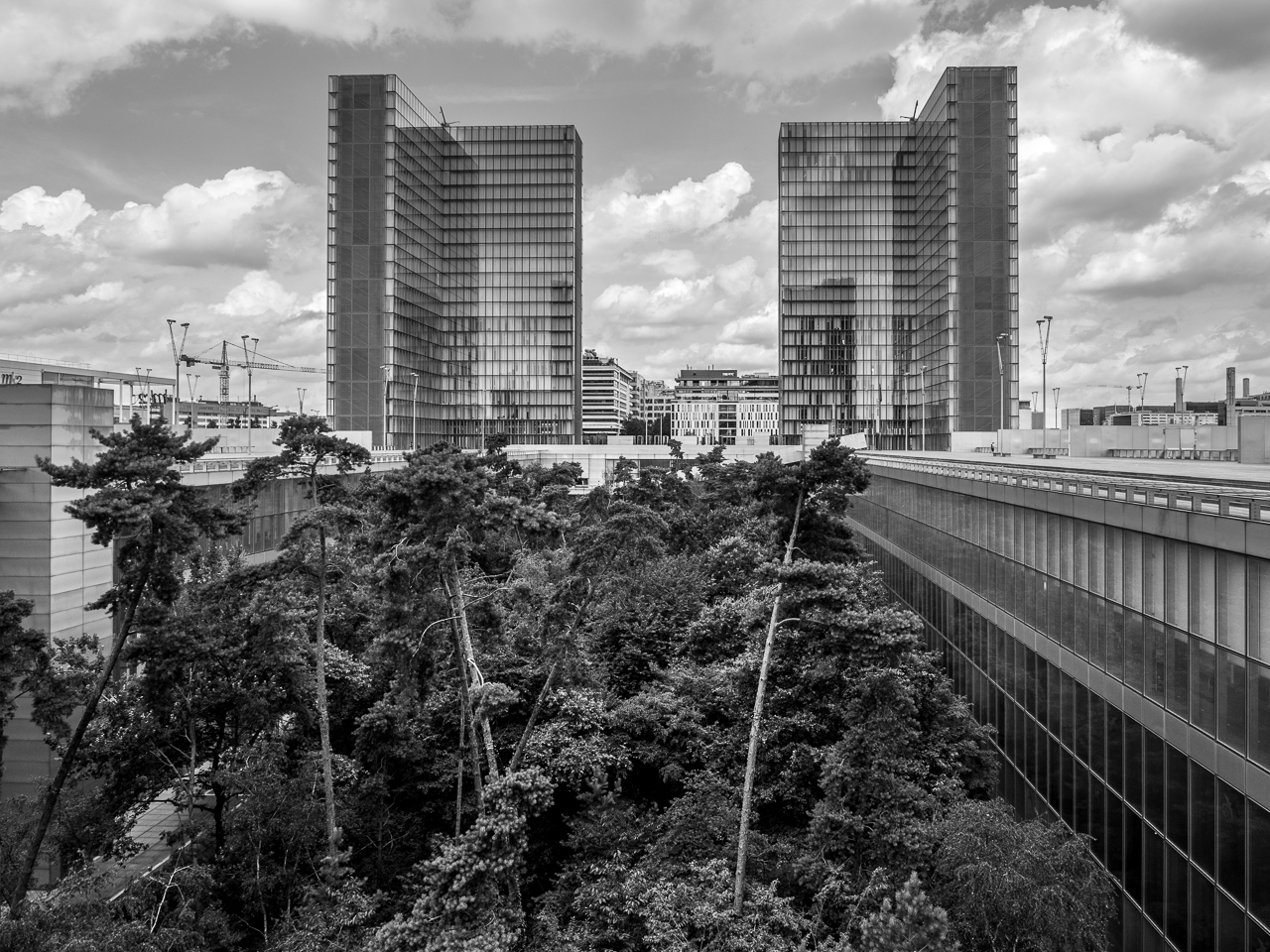 le jardin-forêt de la BnF