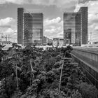 le jardin-forêt de la BnF