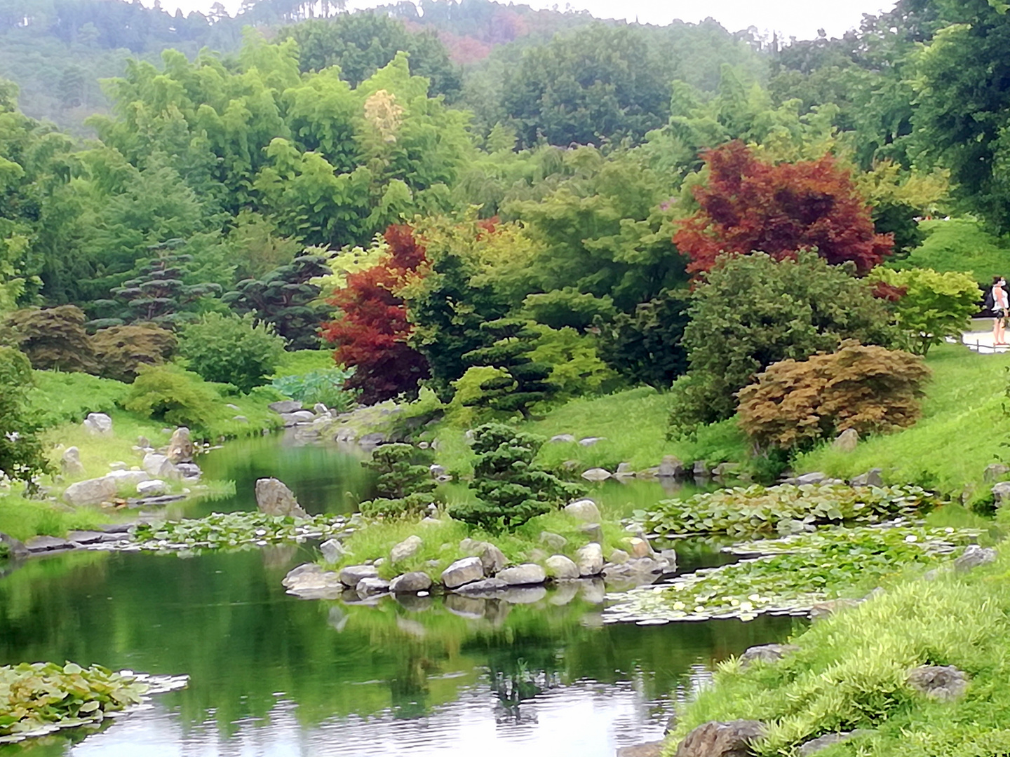 Le jardin japonais ...