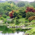 Le jardin japonais ...