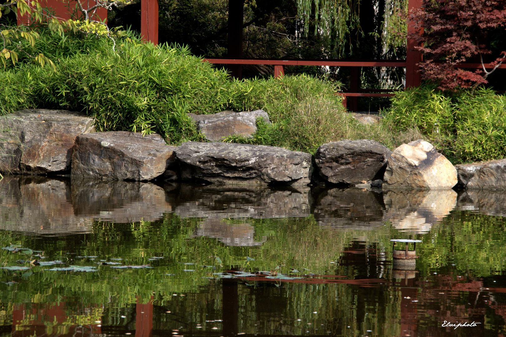 Le jardin japonais 