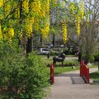 Le Jardin Jayan à Agen