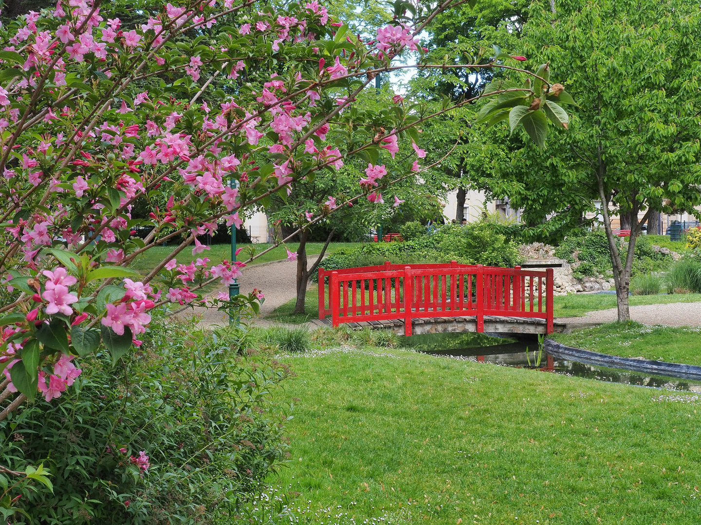 Le Jardin Jayan au printemps  -   Agen