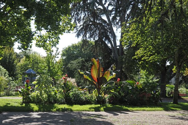 Le Jardin Jayan en septembre  -  Agen