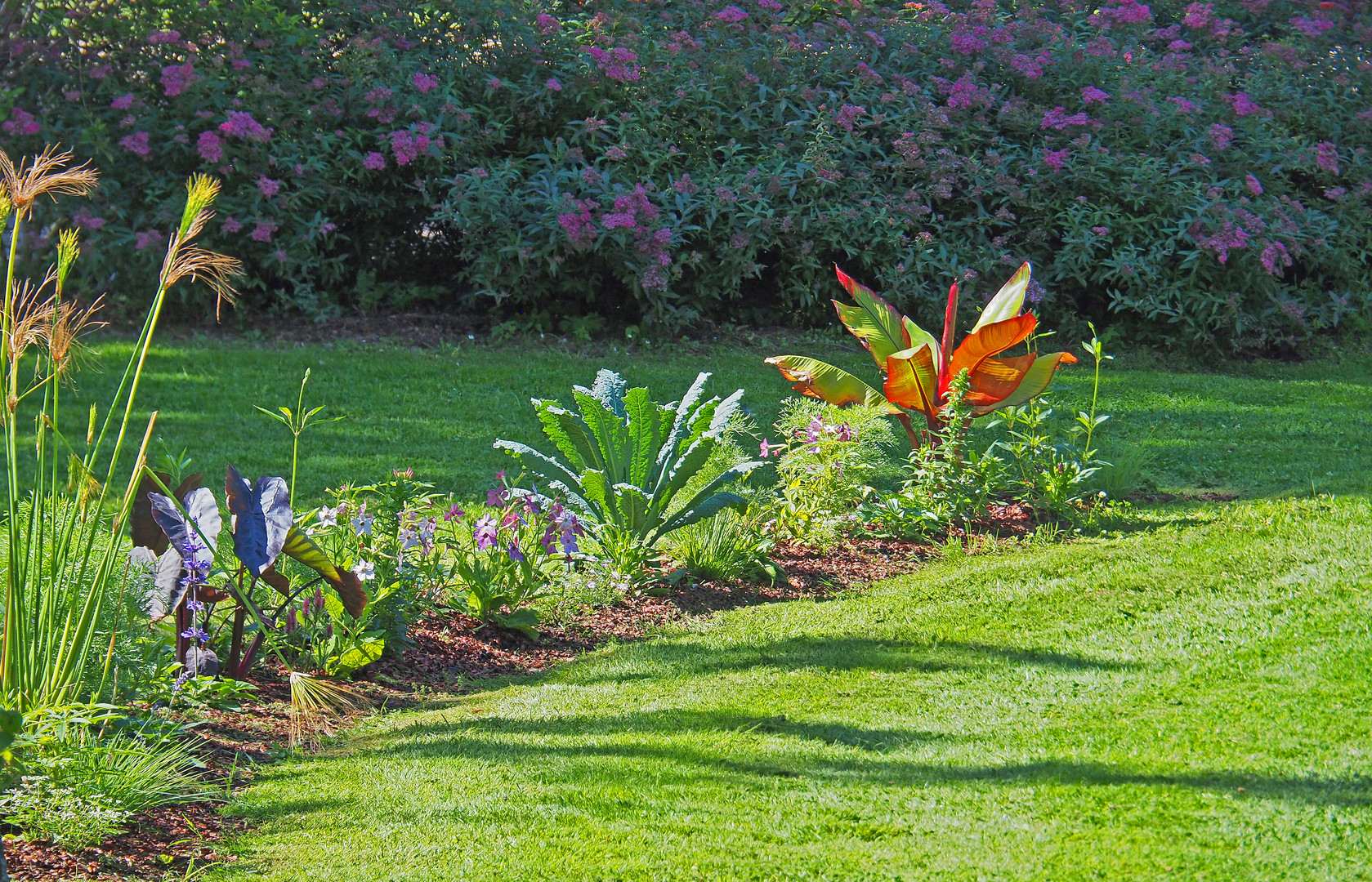 Le jardin Jayan fait peau neuve en fin de printemps