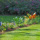 Le jardin Jayan fait peau neuve en fin de printemps