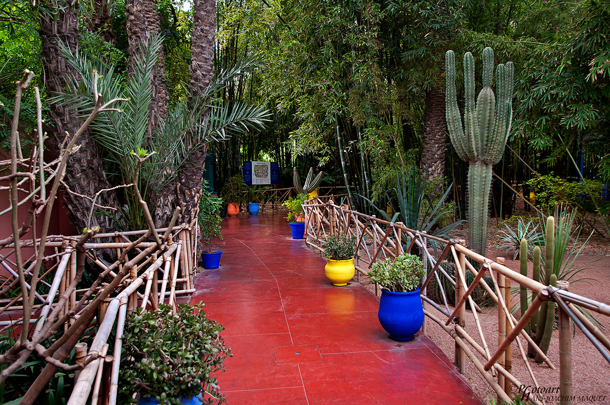 Le Jardin Majorelle