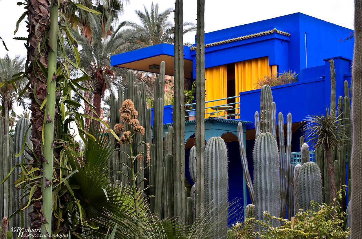 Le Jardin Majorelle