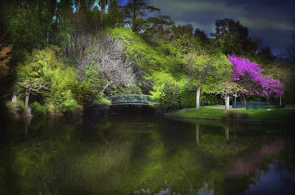 Le jardin marseillais