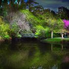 Le jardin marseillais