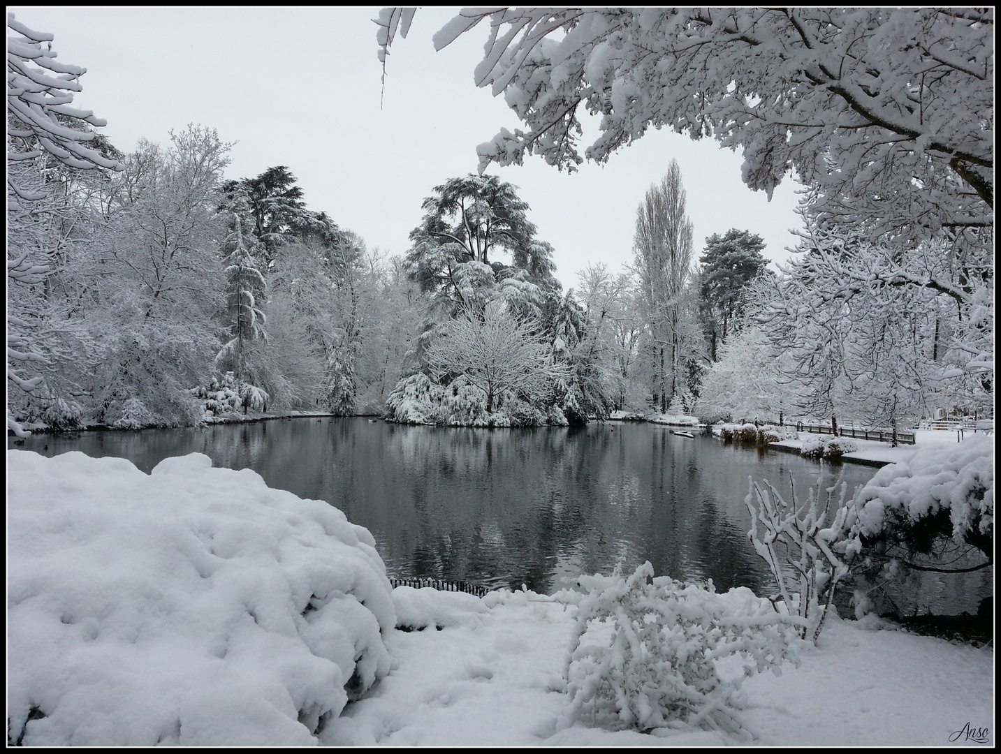 le jardin Massey