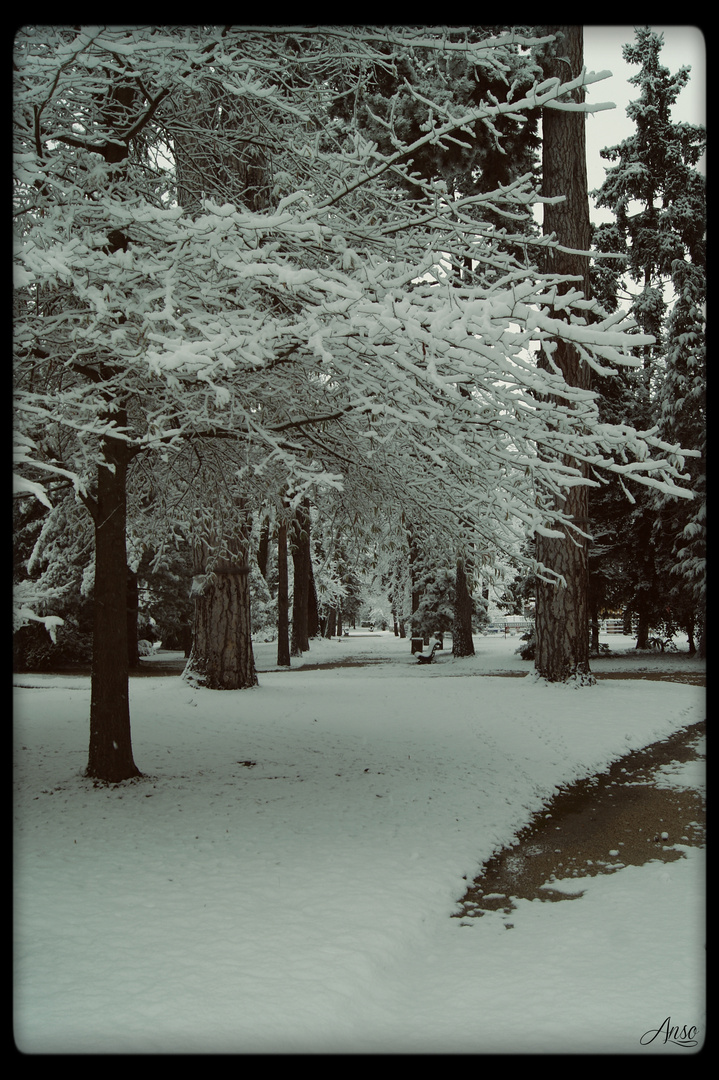 le Jardin Massey_2