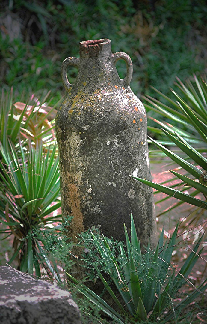 LE JARDIN SECRET D'HAMMAMET Jarre N°2